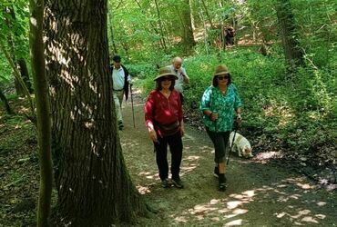 TRES BELLE BALADE ORGANISEE AU DEPART DU BOIS DES REVES !